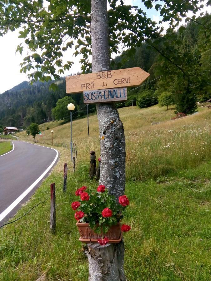 B&B Pra' Dei Cervi Telve Extérieur photo