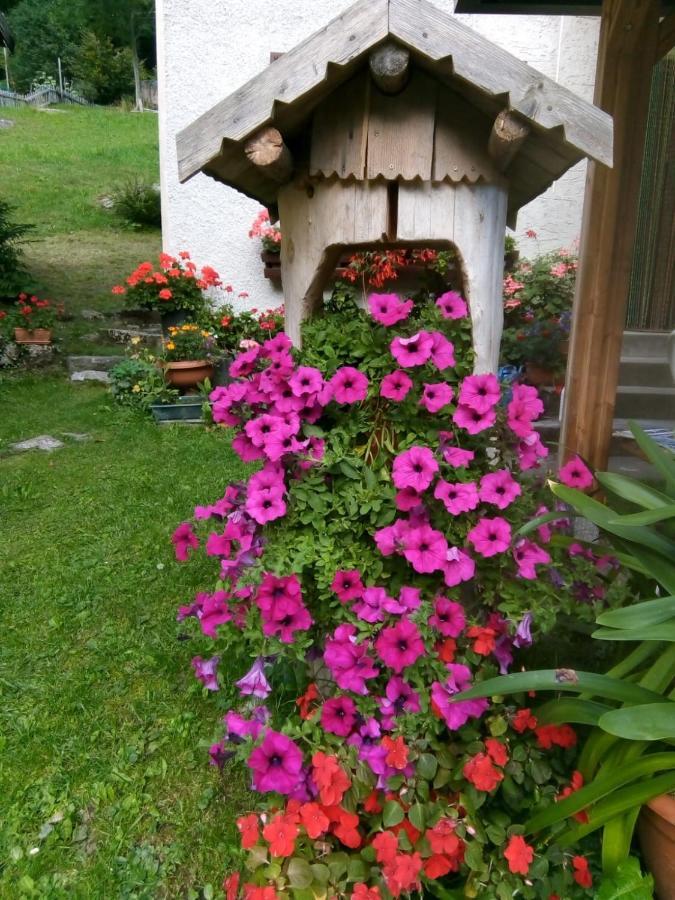 B&B Pra' Dei Cervi Telve Extérieur photo