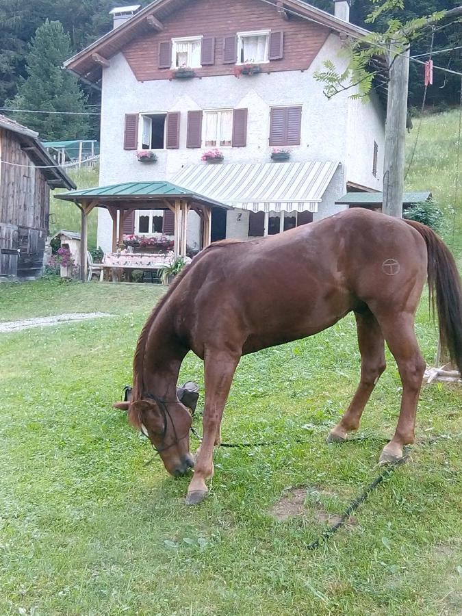 B&B Pra' Dei Cervi Telve Extérieur photo