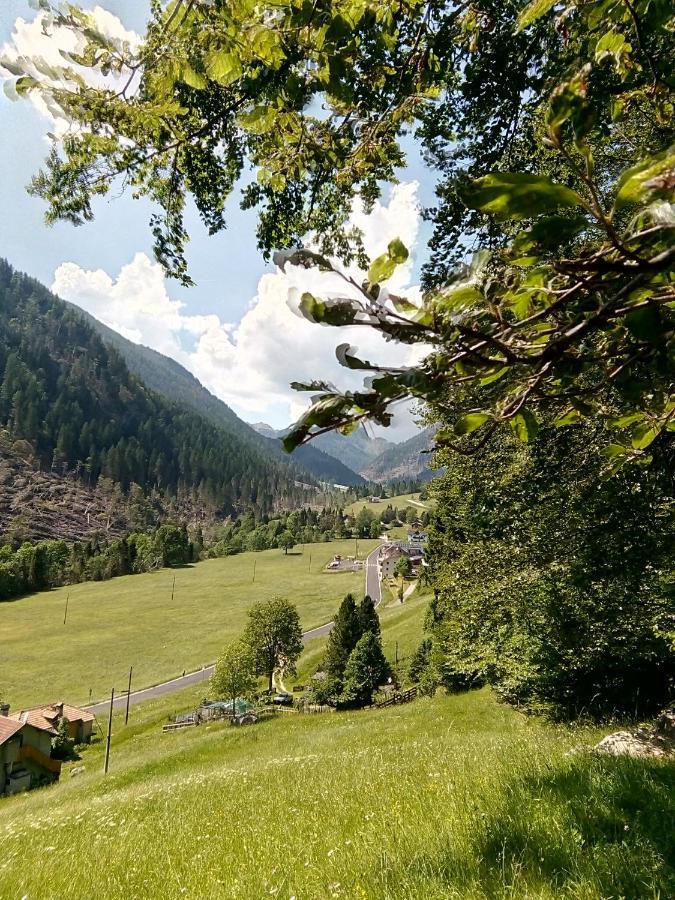 B&B Pra' Dei Cervi Telve Extérieur photo