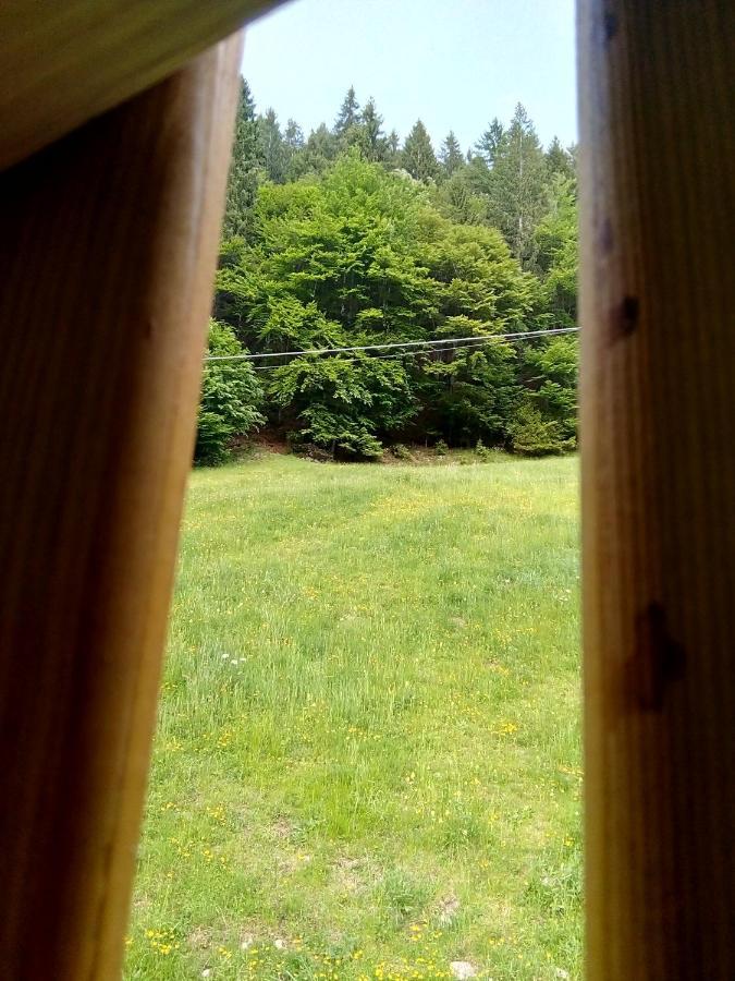 B&B Pra' Dei Cervi Telve Extérieur photo